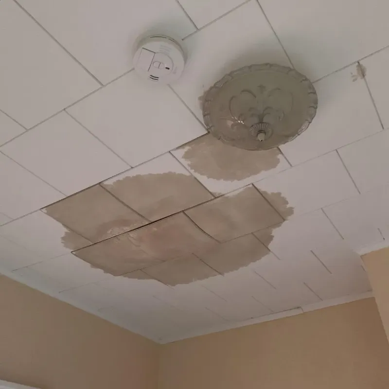 Ceiling Water Damage Repair in Lincolndale, NY