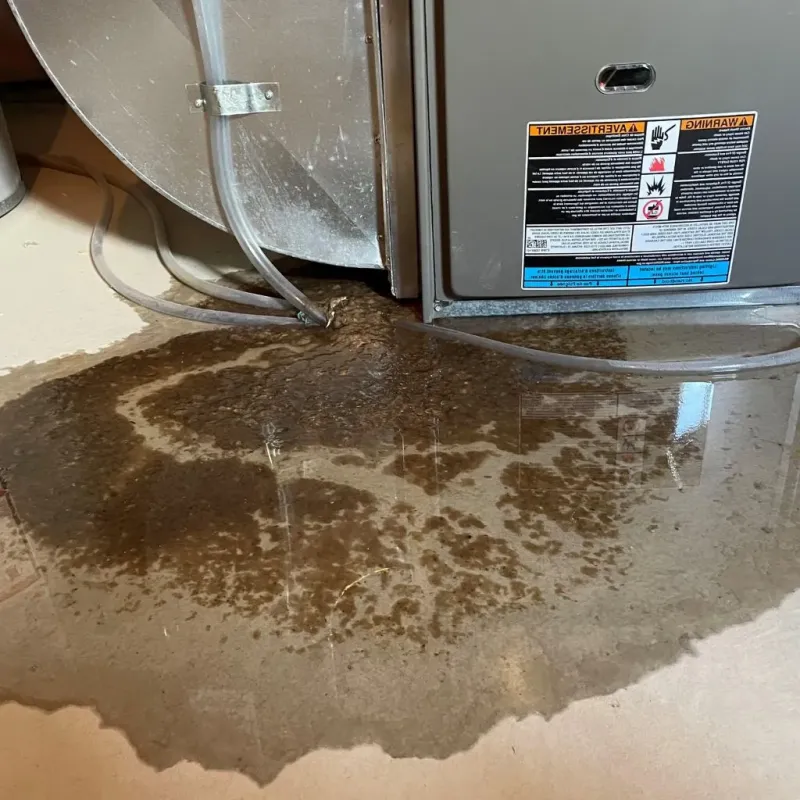 Pipe Burst and Leak Restoration in Lincolndale, NY